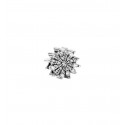 CHARM PANDORA - 791764CZ