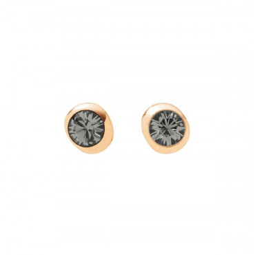 PENDIENTES DKNY - NJ1698040