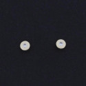 P-ROSCA OR GROC/CIRCONITA - M-600042