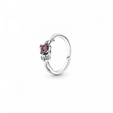 A-VARIS PLATA/ PEDRA COLOR - 190017C01-56