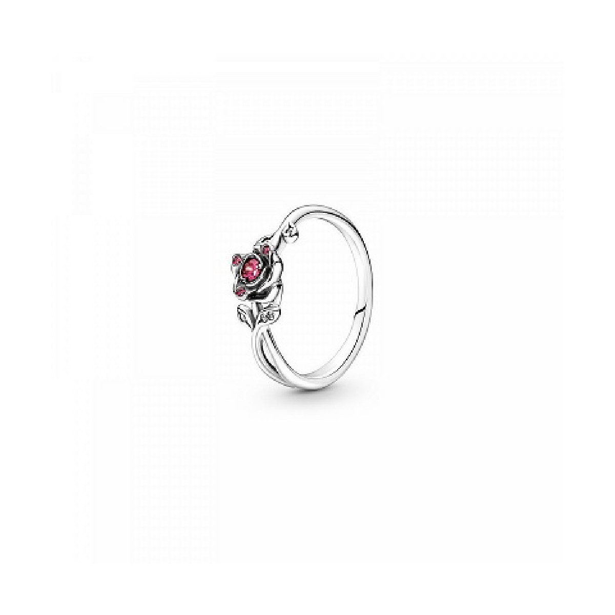 A-VARIS PLATA/ PEDRA COLOR - 190017C01-56